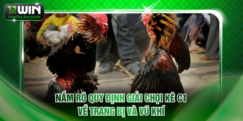 Đá Gà C1 Trực Tiếp Thomo - Xem Full HD Miễn Phí trên 11WIN 2 Nắm rõ quy định giải chọi kê C1 về trang bị và vũ khí